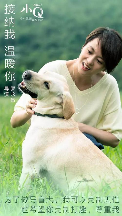 制作日本石卷専修大學文凭